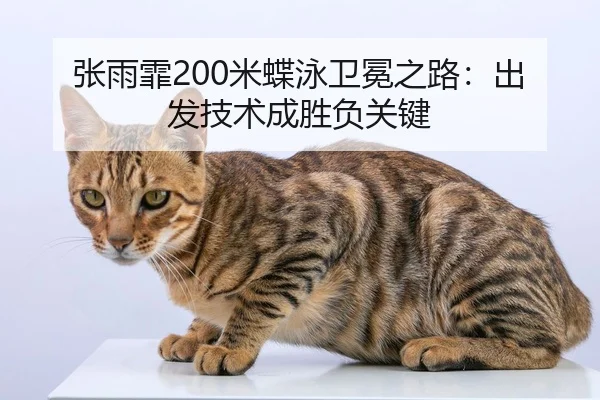 zhang-yu-fei-mi-die-yong-wei-mian-zhi-lu-chu-fa-ji-shu-cheng-sheng-fu-guan-jian-2-369.jpg