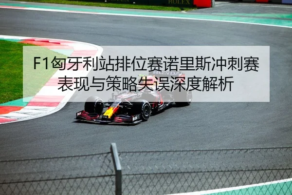 F1匈牙利站排位赛诺里斯冲刺赛表现与策略失误深度解析