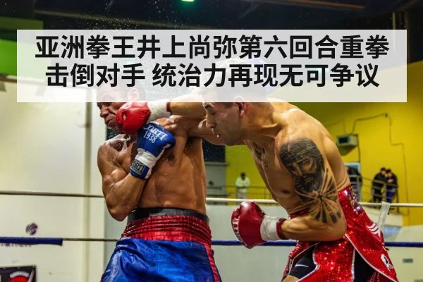 boxer knockout punch